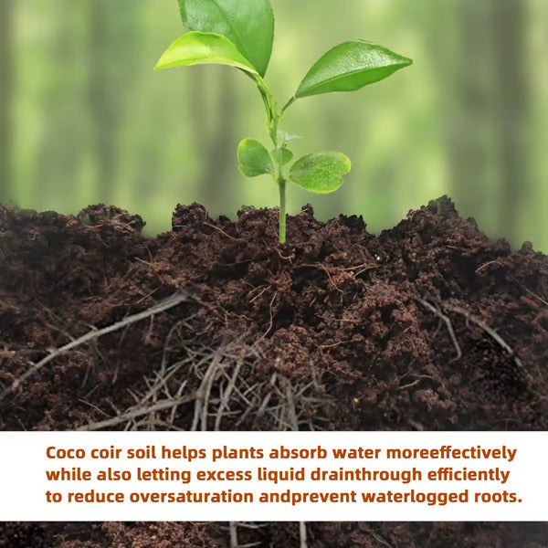 🥥Premium Organic Coconut Coir Bricks for Plants