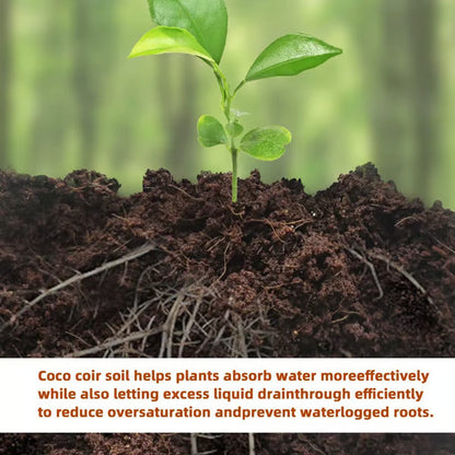 🥥Premium Organic Coconut Coir Bricks for Plants
