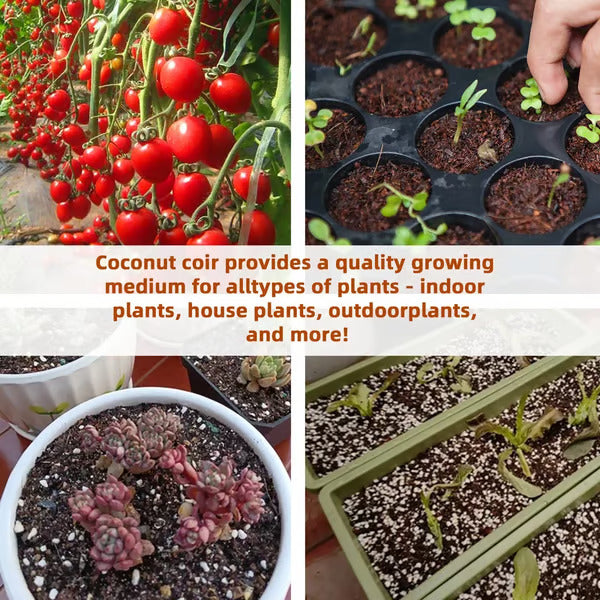 🥥Premium Organic Coconut Coir Bricks for Plants
