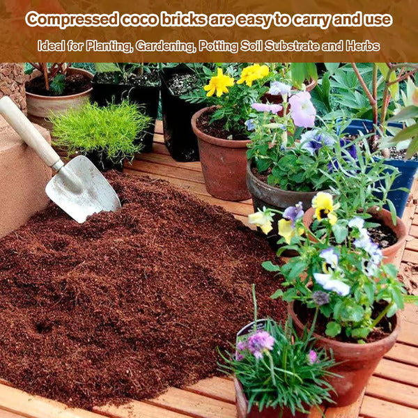 🥥Premium Organic Coconut Coir Bricks for Plants
