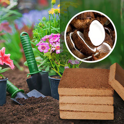 🥥Premium Organic Coconut Coir Bricks for Plants
