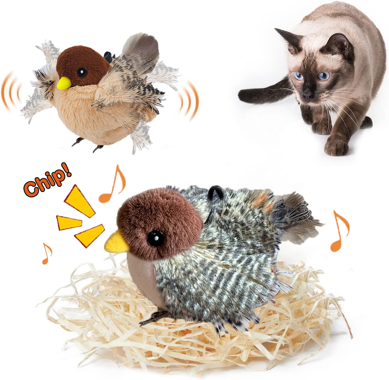 Chirping Chaser Bird