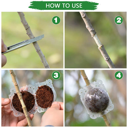 Plant Root Growing Box