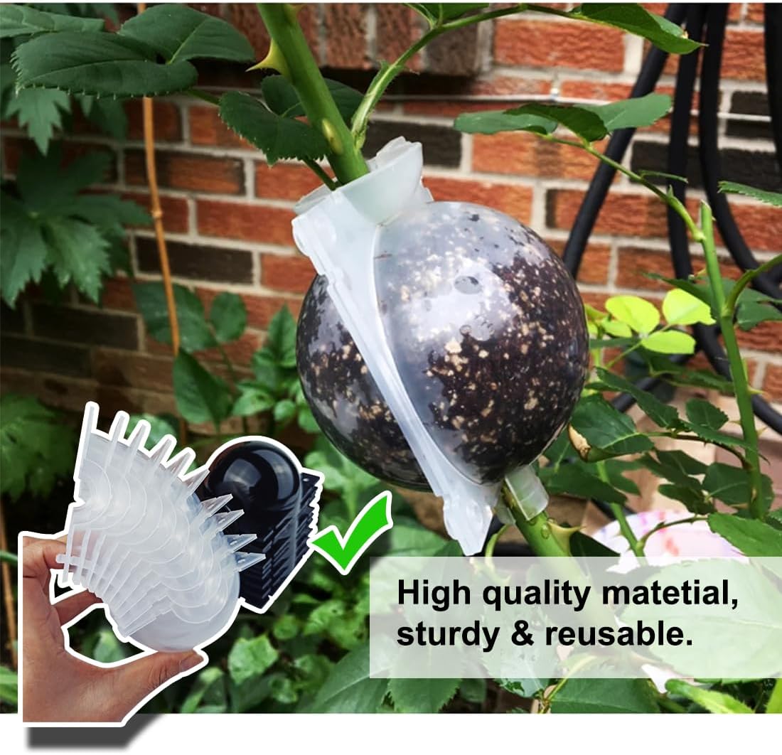 Plant Root Growing Box