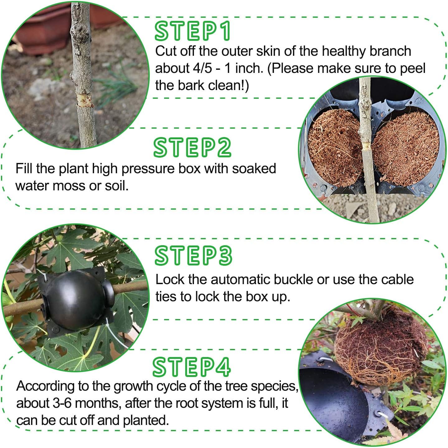 Plant Root Growing Box