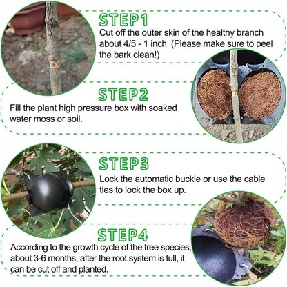 Plant Root Growing Box