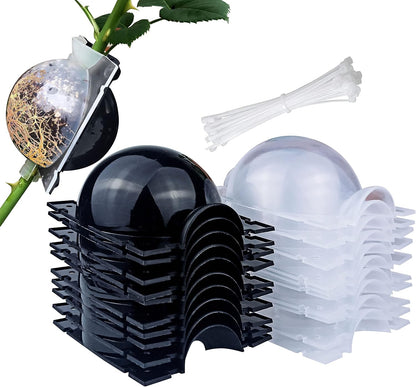 Plant Root Growing Box